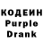 Кодеиновый сироп Lean Purple Drank Reign 55